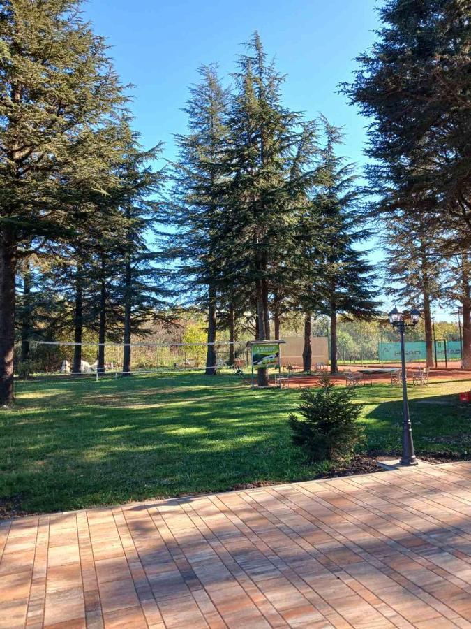 Roomsapartments Popcourt Панчево Экстерьер фото